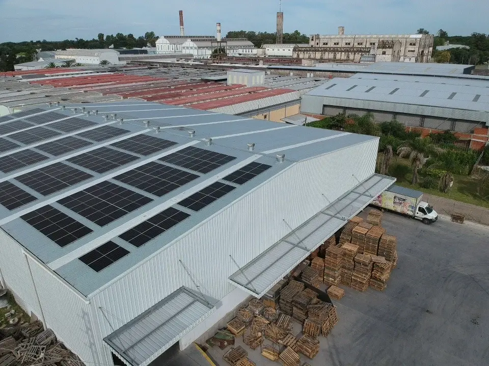 Historia de Chil Slices